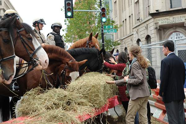 WIHS2-10-27-10-BreakfastMtdPolice-0548-DDeRosaPhoto.jpg