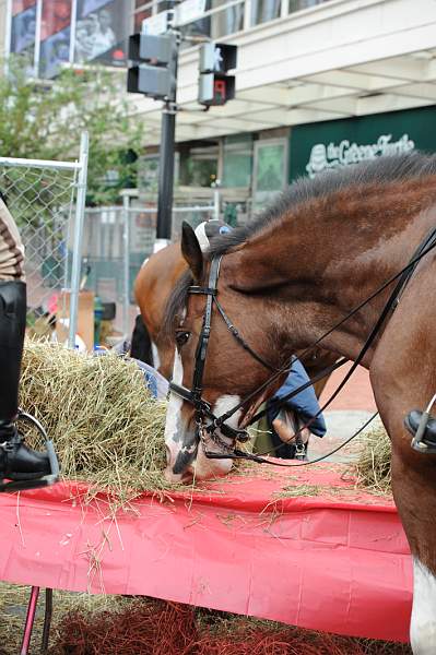 WIHS2-10-27-10-BreakfastMtdPolice-0589-DDeRosaPhoto.jpg