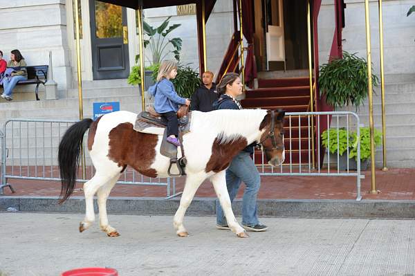 WIHS2-10-30-10-7356-KidsDay-DDeRosaPhoto.jpg