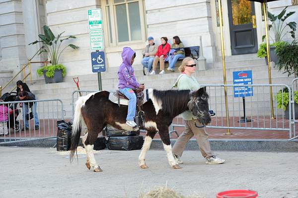 WIHS2-10-30-10-7357-KidsDay-DDeRosaPhoto.jpg
