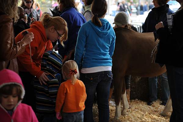 WIHS3-10-30-10-DSC_8207-KidsDay-DDeRosaPhoto.jpg