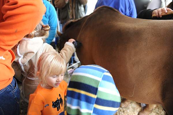 WIHS3-10-30-10-DSC_8220-KidsDay-DDeRosaPhoto.jpg
