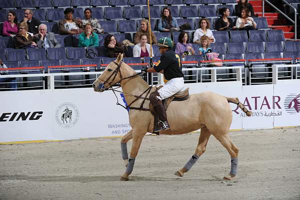 WIHS2-10-27-10-MilitaryPolo-2086-DDeRosaPhoto.jpg