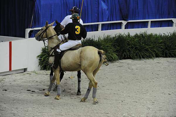 WIHS2-10-27-10-MilitaryPolo-2119-DDeRosaPhoto.jpg