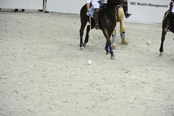 WIHS2-10-27-10-MilitaryPolo-2136-DDeRosaPhoto.jpg