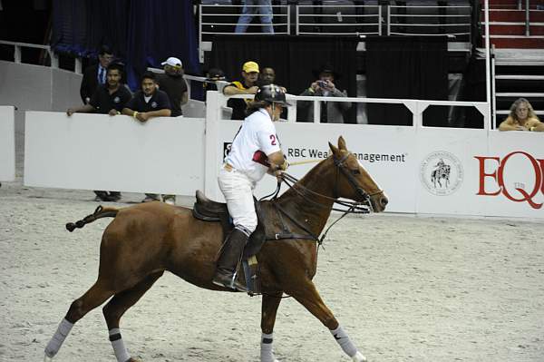 WIHS2-10-27-10-MilitaryPolo-2182-DDeRosaPhoto.jpg