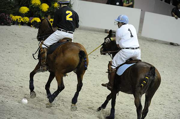 WIHS2-10-27-10-MilitaryPolo-2200-DDeRosaPhoto.jpg