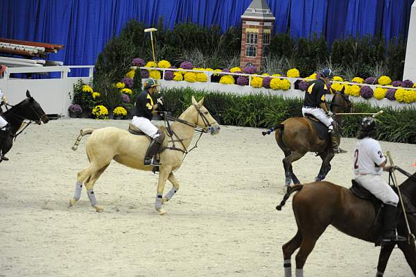 WIHS2-10-27-10-MilitaryPolo-2206-DDeRosaPhoto.jpg