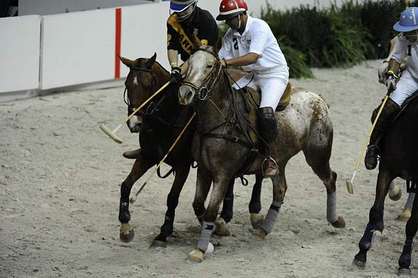WIHS2-10-27-10-MilitaryPolo-2214-DDeRosaPhoto.jpg