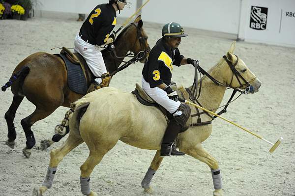 WIHS2-10-27-10-MilitaryPolo-2221-DDeRosaPhoto.jpg
