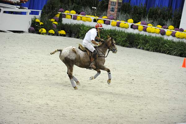 WIHS2-10-27-10-MilitaryPolo-2226-DDeRosaPhoto.jpg