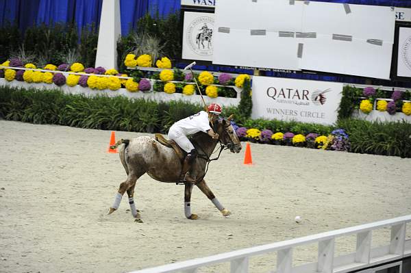 WIHS2-10-27-10-MilitaryPolo-2227-DDeRosaPhoto.jpg