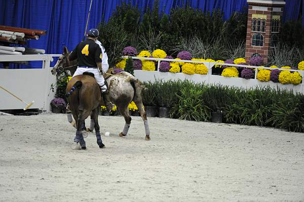 WIHS2-10-27-10-MilitaryPolo-2233-DDeRosaPhoto.jpg
