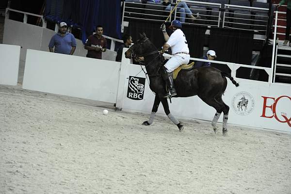WIHS2-10-27-10-MilitaryPolo-2235-DDeRosaPhoto.jpg