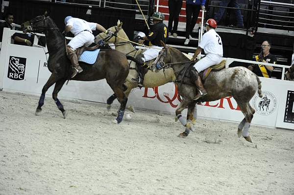 WIHS2-10-27-10-MilitaryPolo-2237-DDeRosaPhoto.jpg
