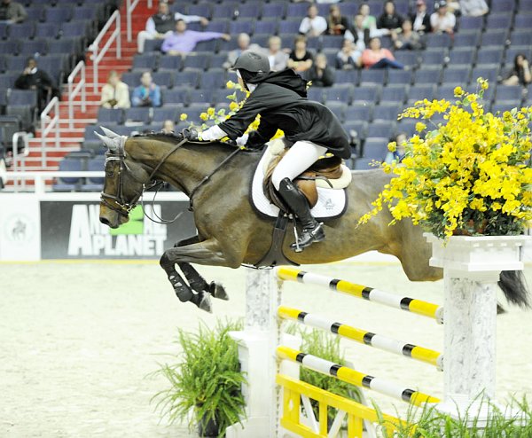Animal_Planet-WIHS2-10-28-10-4922-DDeRosaPhoto.jpg