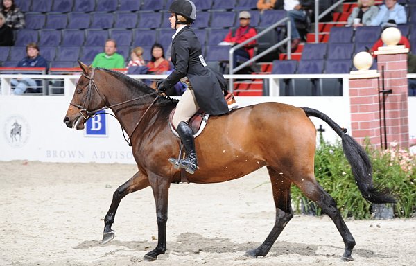 Brown-WIHS3-10-31-10-Cl191-RegHtrFinalsHrs-0338-Victoria-CoriKaylor-DDeRosaPhoto.jpg