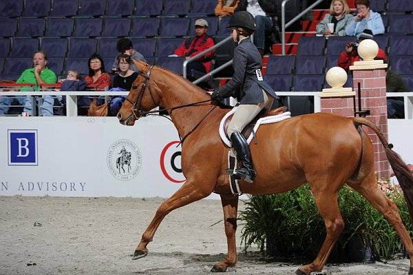 Brown-WIHS3-10-31-10-Cl191-RegHtrFinalsHrs-0359-Winterfield-SummerSeeley-DDeRosaPhoto.jpg