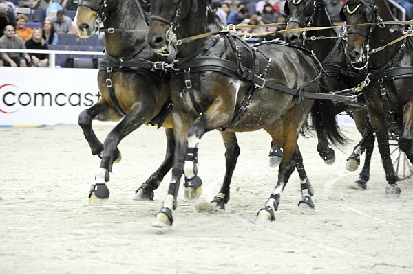 Comcast-WIHS2-10-28-10-4735-DDeRosaPhoto.jpg