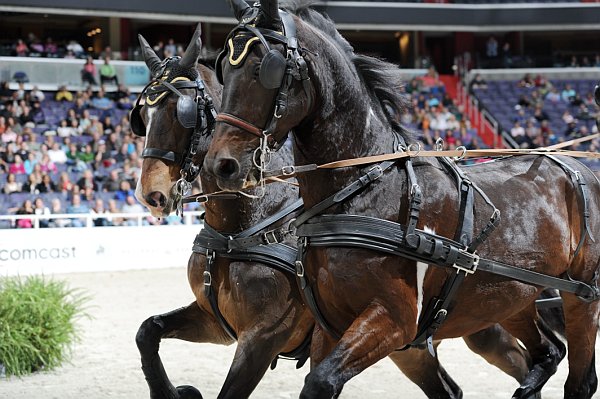 Comcast-WIHS2-10-30-10-8674-DDeRosaPhoto.jpg