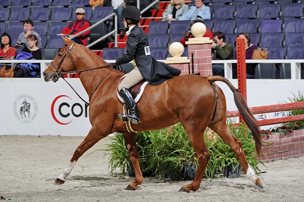 Comcast-WIHS3-10-31-10-Cl191-RegHtrFinalsHrs-0353-Valente-MeganMcGovern-DDeRosaPhoto.jpg