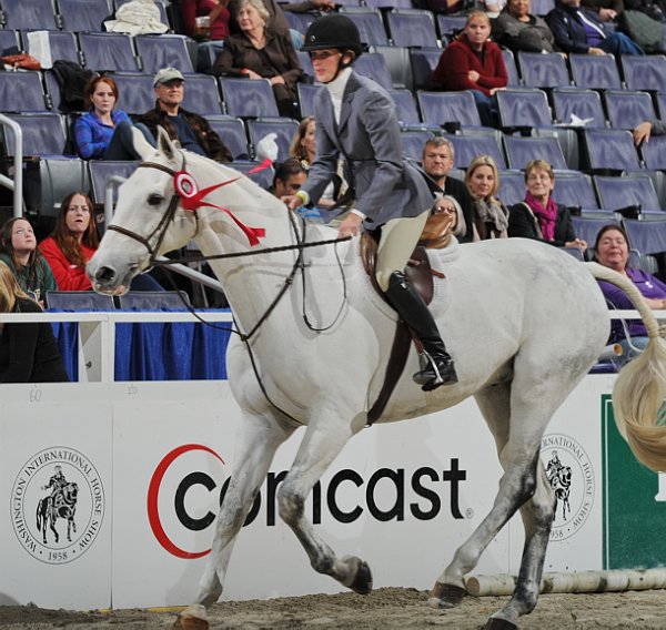 Comcast-WIHS3-10-31-10-Cl191-RegHtrFinalsHrs-0380-Sailaway-AshleyChucker-DDeRosaPhoto.jpg