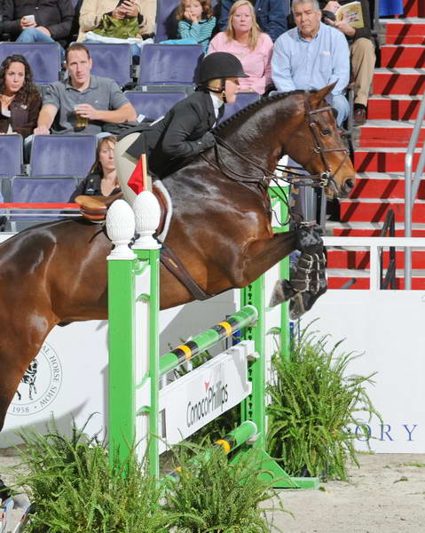 Conoco_Phillips-WIHS2-10-30-10-Cl182-WIHSEqJpr-8259-AmberHenter-Triumph-DDeRosaPhoto.jpg