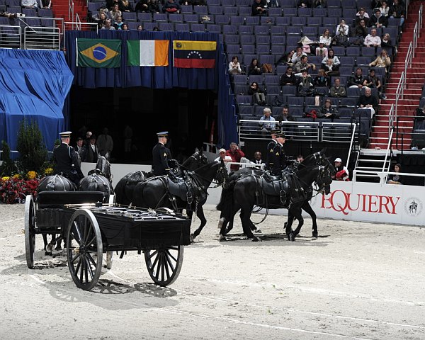 Equiery-WIHS2-10-30-10-8524-DDeRosaPhoto.jpg