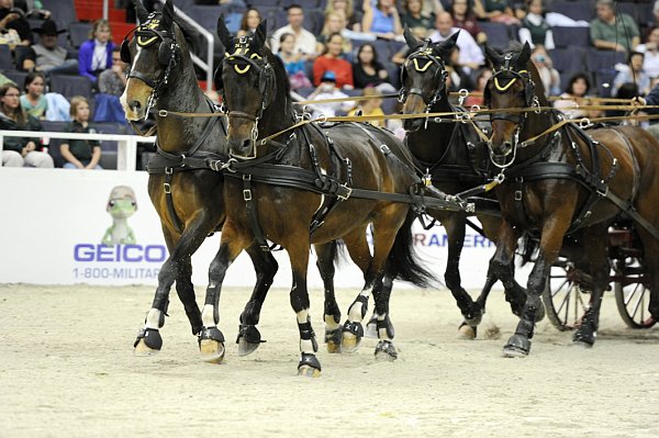 Geico-WIHS2-10-28-10-4690-DDeRosaPhoto.jpg