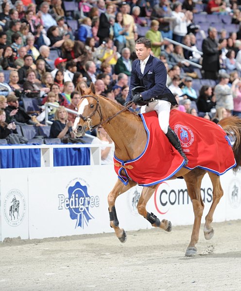 Pedigree-WIHS2-10-29-10-6376-DDeRosaPhoto.jpg
