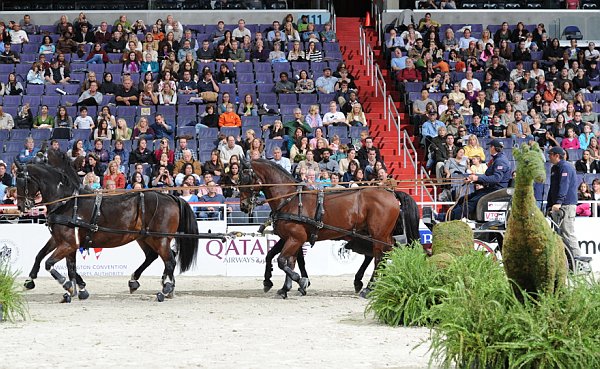 Qatar-WIHS2-10-30-10-8660-DDeRosaPhoto.jpg
