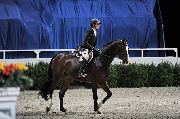WIHS2-10-29-10-Cl181-WIHSEq-Htr-5668-KalvinDobbs-Accord-DDeRosaPhoto.jpg