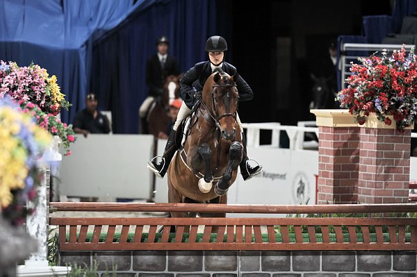 WIHS2-10-29-10-Cl181-WIHSEq-Htr-5689-VictoriaBirdsall-Baheera-DDeRosaPhoto.jpg