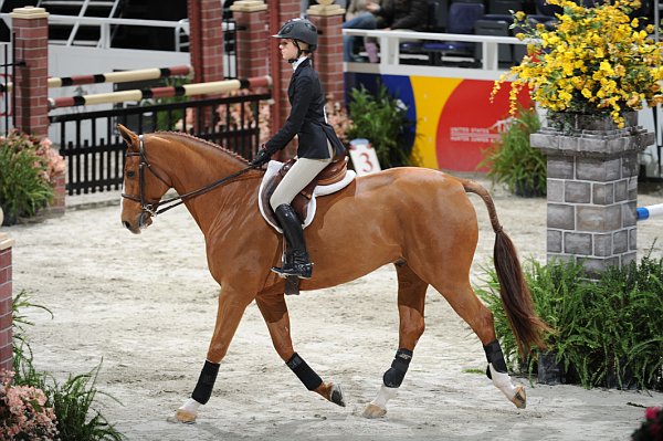 WIHS2-10-30-10-Cl182-WIHSEqJpr-8116-CharlotteJacobs-Sundance-DDeRosaPhoto.jpg