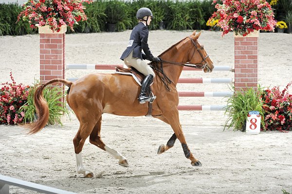 WIHS2-10-30-10-Cl182-WIHSEqJpr-8213-LucyDavis-Patrick-DDeRosaPhoto.jpg