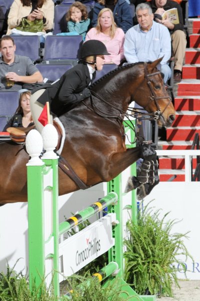 WIHS2-10-30-10-Cl182-WIHSEqJpr-8259-AmberHenter-Triumph-DDeRosaPhoto.jpg
