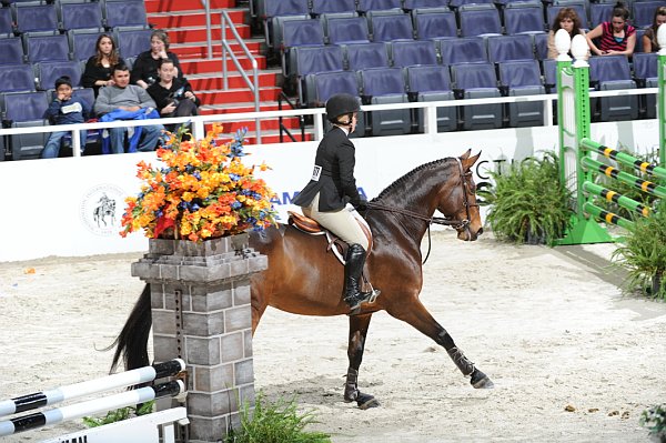 WIHS2-10-30-10-Cl182-WIHSEqJpr-8263-AmberHenter-Triumph-DDeRosaPhoto.jpg