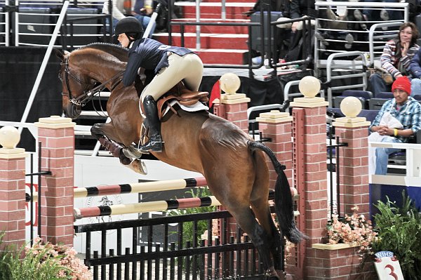 WIHS2-10-30-10-Cl182-WIHSEqJpr-8287-VictoriaBirdsall-Baheera-DDeRosaPhoto.jpg