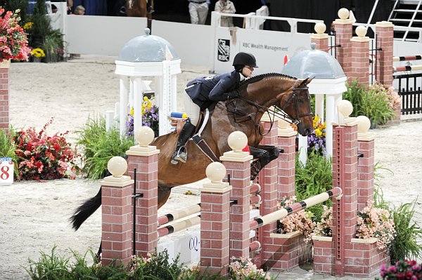 WIHS2-10-30-10-Cl182-WIHSEqJpr-8292-VictoriaBirdsall-Baheera-DDeRosaPhoto.jpg