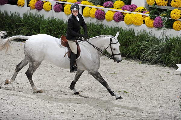 WIHS2-10-30-10-Cl182-WIHSEqJpr-8333-HasbrouckDonovan-Wagner-DDeRosaPhoto.jpg