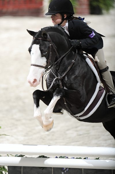 WIHS2-10-30-10-WIHSPnyEqFinals-7529-SarahCliftonYandell-Zorro-DDeRosaPhoto.jpg