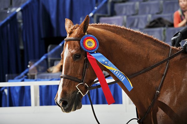 WIHS3-10-31-10-Cl191-RegHtrFinalsHrs-0396-Valente-MeganMcGovern-DDeRosaPhoto.jpg
