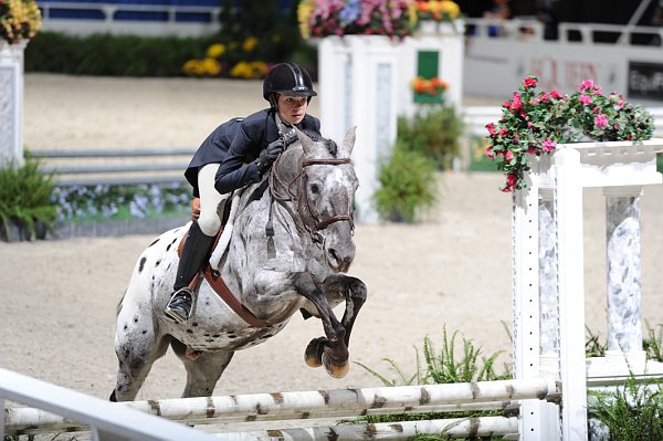 WIHS3-10-31-10-Cl193-LocHtrFinals-Pny-0182-WildCardCody-SarahAnderson-DDeRosaPhoto.jpg