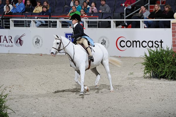WIHS3-10-31-10-Cl193-LocHtrFinals-Pny-0194-HillcrestTreasureChest-SarahBoston-DDeRosaPhoto.jpg
