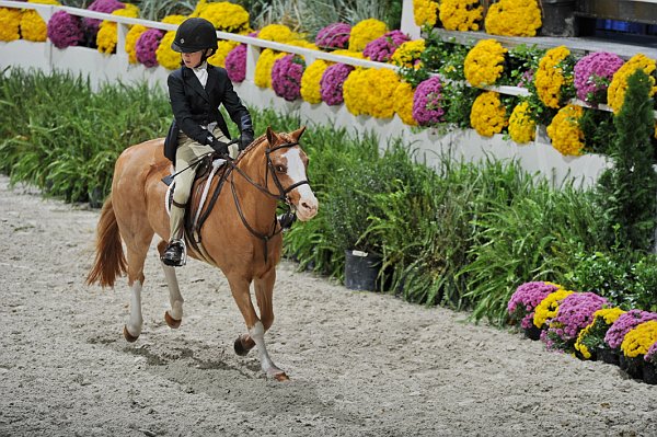 WIHS3-10-31-10-Cl193-LocHtrFinals-Pny-0224-PumpkinPatch-TrinityHammerschmidt-DDeRosaPhoto.jpg