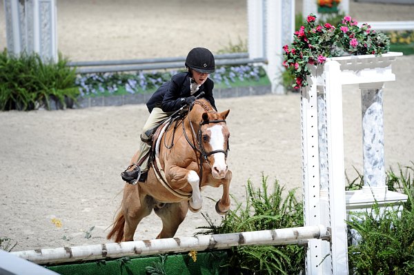 WIHS3-10-31-10-Cl193-LocHtrFinals-Pny-0226-PumpkinPatch-TrinityHammerschmidt-DDeRosaPhoto.jpg