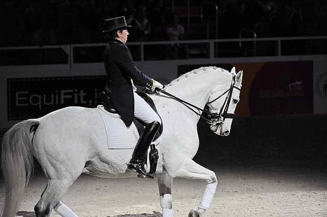 Dressage-WIHS2-10-29-10-6519-PamGoodrich-Lamborghini-DDeRosaPhoto.JPG