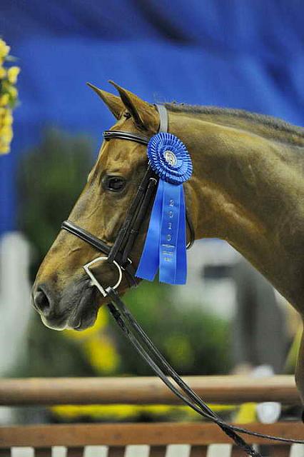 Presentations-WIHS2-10-27-10-Cl24-1stYrGrHtrStke-0302-SailorsValentine-LouiseSerio-DDeRosaPhoto.JPG