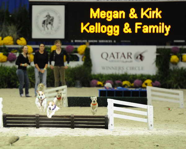 Terriers-WIHS2-10-28-10-4609-DDeRosaPhoto.JPG