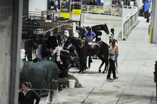 WIHS2-2010-DSC_7785-DDeRosaPhoto.jpg